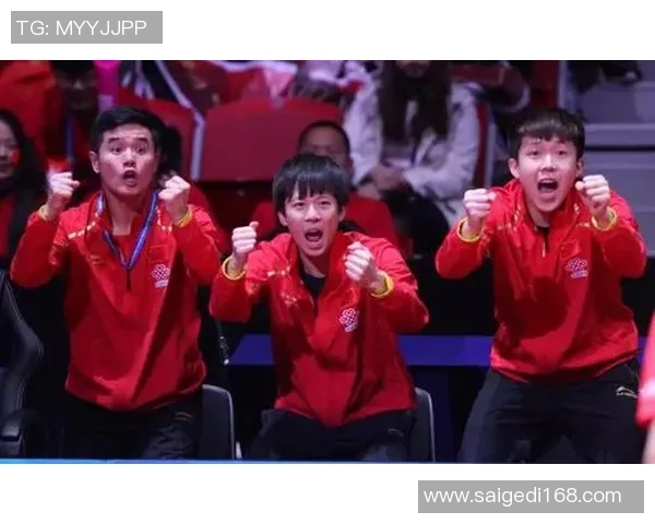 深圳乒乓球队与北京乒乓球队的耐力较量赛后深度分析与反思 深圳乒乓球队与北京乒乓球队的耐力较量赛后深度分析与反思