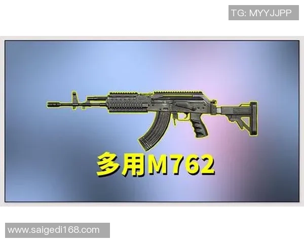 深度对话：探寻张芳在和平精英中的成长与挑战之路