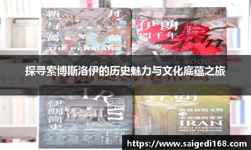 探寻索博斯洛伊的历史魅力与文化底蕴之旅